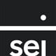 SEI Select International Equity ETF stock logo